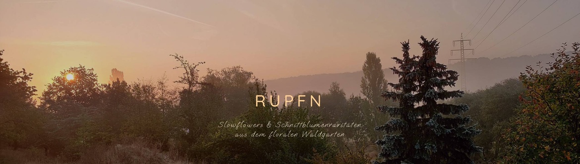 RUPFN SHOP